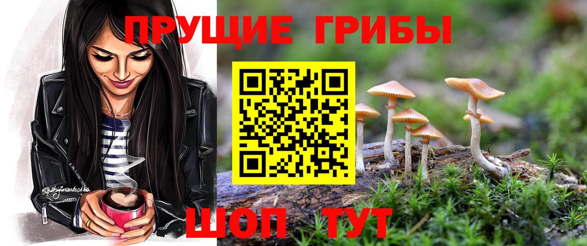 Галлюциногенные грибы мицелий  Вход с VPN  Нижний Новгород 