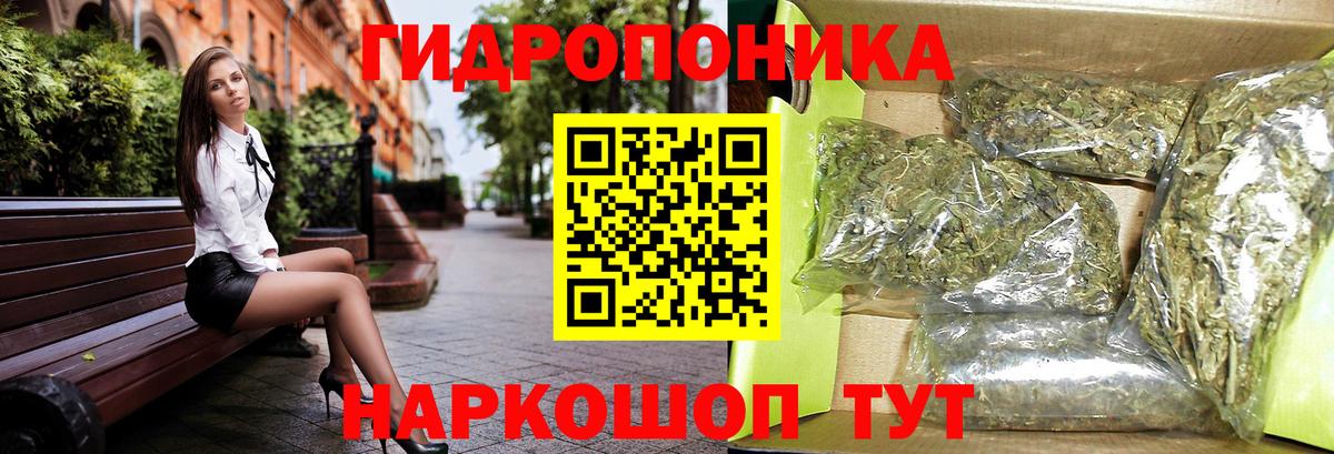 Канабис тримм  Вход с VPN  Бошки марихуана план  Нижний Новгород 